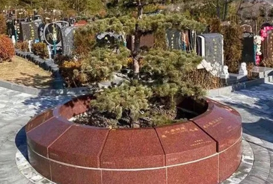 北京生态葬树葬花葬墓园
