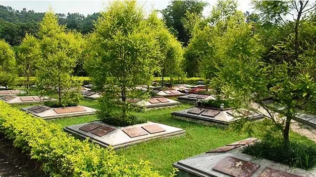 北京树葬陵园哪家好
